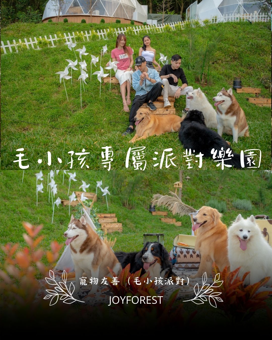 楊梅露營區 桃園楊梅 交通便利 森林露營 私人露營區