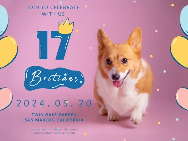 桃園寵物攝影棚拍 柯基犬生日派對主視覺範例 小巴老師 揪好森
